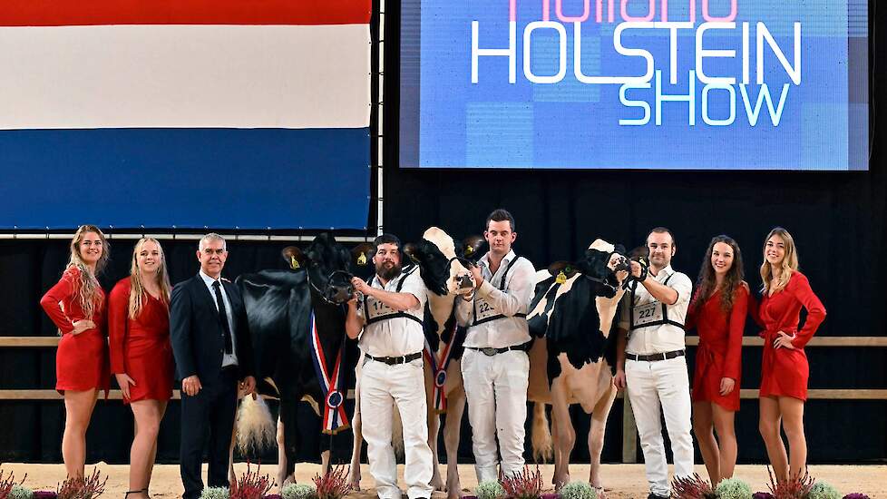 De zwartbonte kampioensvaarzen. Van links naar rechts: kampioene Giessen Charity 253, reservekampioene Carmen 5 en Honourable Mention Herzogin.