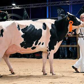 De derde plek was voor De Wieke Undenied Eve van de familie Koster uit Koekange, een grote, lange Undenied-dochter met een diepe middenhand en een hoge, brede achteruier.