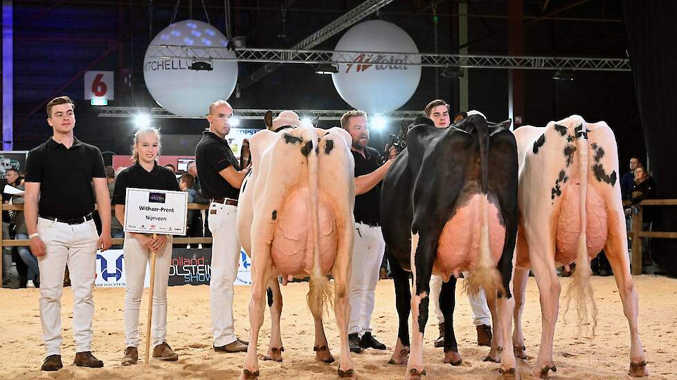 Alleen de beste drie bedrijfsgroepen bleven in de ring voor de verdeling van de titels. Withaar-Prent had een uitstekende groep opgesteld, die na een ’close call’ met de groep van De Groot als laatste de ring moest verlaten.