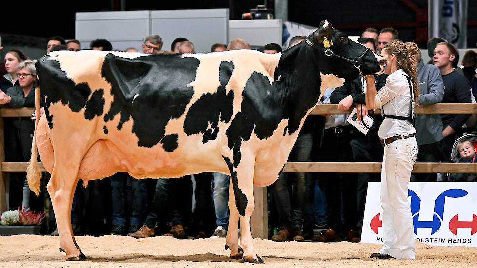 Op de tweede plaats volgde Rixt van de familie Altenburg uit Koufurderrige. De Mixco-dochter werd onlangs  seniorenkampioene op de veekeuring Fryslân. Ze is best ontwikkeld en heeft een beste uier en droge benen.