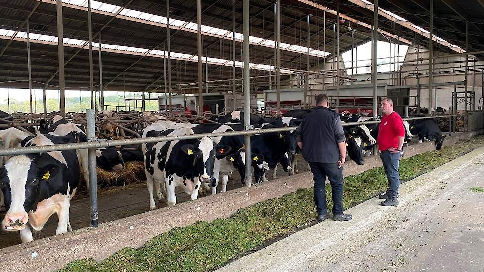 Op bezoek bij melkveebedrijf Schepens in Maarheeze | LG Seeds