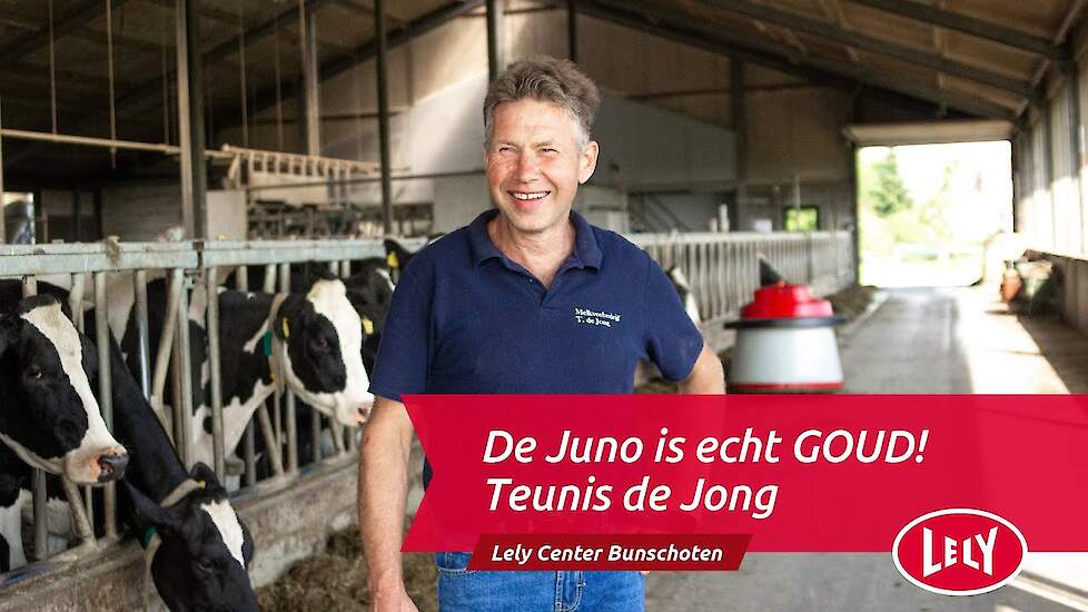 Lely Juno - Automatisch voer aanschuiven - Teunis de Jong