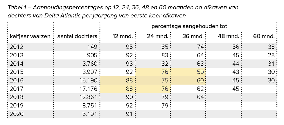 Aanhoudingspercentages op 12, 24, 36, 48 en 60 maanden na afkalven van dochters van Delta Atlantic per jaargang van eerste keer afkalven