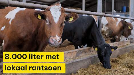 Video: Jeroen Groenewegen verarbeitet 8.000 Liter mit maximal 130 Gramm Rohprotein |  Molkerei.nl