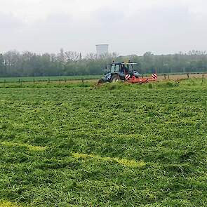 De dag erna schudden, het gras droogde maar traag in een bewolkt Zuid-Limburg