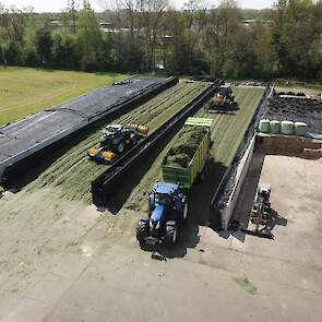 Op maandag ging het Havera 4 gras aan 36% drogestof de kuil in