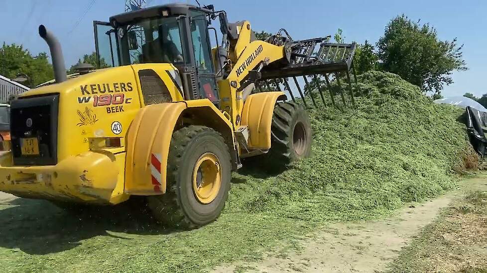 De 2e snede gras hakselen bij vof Lemans in Voerendaal | LG Seeds