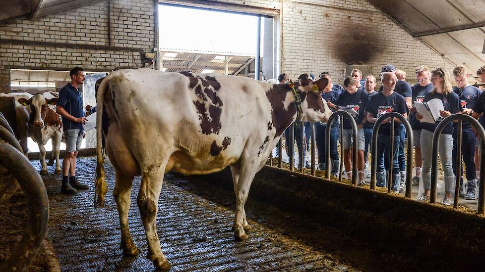 Rubelsdochters Wilma 443 in haar werkpak tijdens de dochtertour