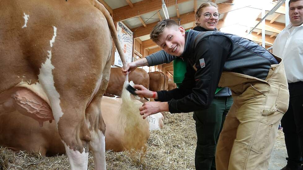 Het is 9 jaar geleden dat er voor ’t laatst een nationale Fleckvieh Show is gehouden. De liefhebbers komen van heinde en verre en hebben er zin in. Niets wordt dan ook aan het toeval overgelaten.