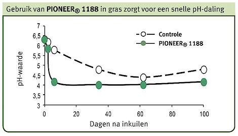 Pioneer inkuilen