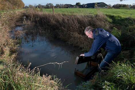 Wat is het effect van de stuw in de sloot van Geert Stevens?