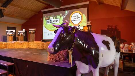 Dutch Dairy Challenge: 'Leerzaam, inspirerend en uitdagend'