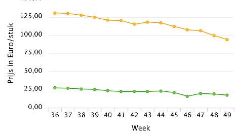 Prijs fosfaatrechten laatste weken flink gezakt