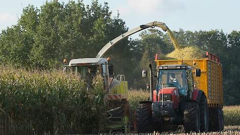 Jaaroverzicht augustus: 'Voor half oktober moet de mais eraf vanwege meerkolvigheid'