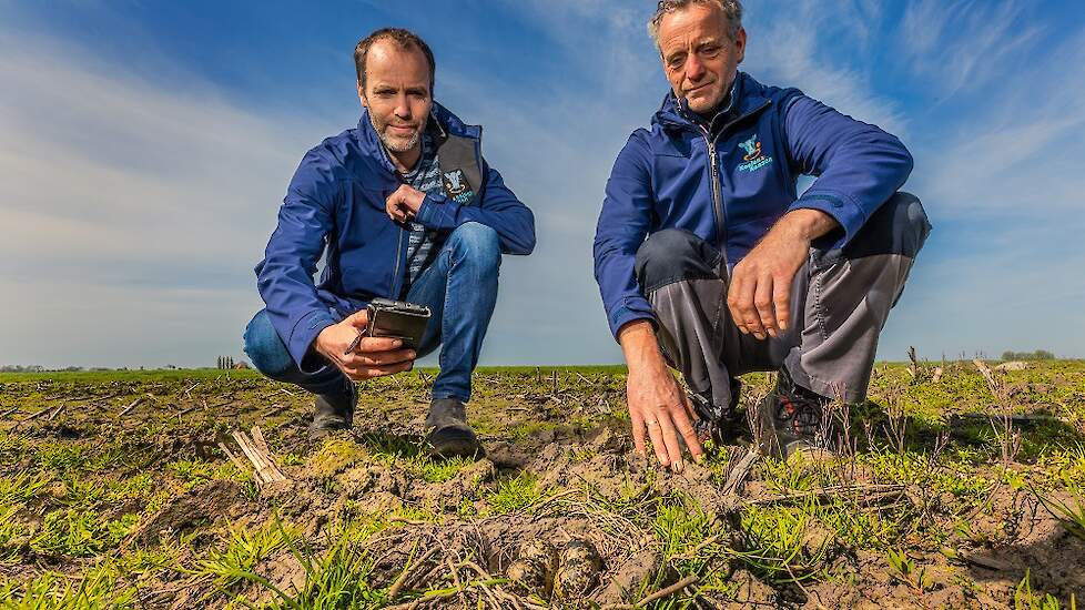 Deltaplan Agrarisch Waterbeheer Geduld Werd Op De Proef Gesteld Maar