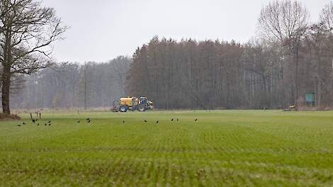 Nieuwe NV-gebieden aangewezen met lagere mestnorm