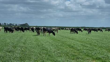 Terugdringen broeikasgasuitstoot vraagt om evenwichtige combinatie van belonen en sanctioneren