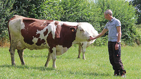 Hogere productie na omschakeling naar biologisch