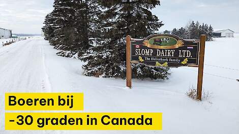 Video: Boeren bij -30 graden in Canada