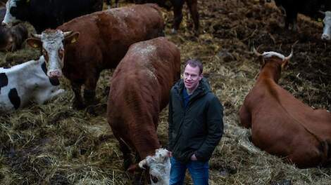 Bodem in balans met mest en maaisel