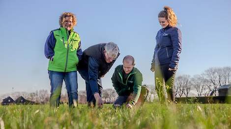 Melkveehouderij Evers: Meer mineralen in het rantsoen dankzij kruidenrijk grasland