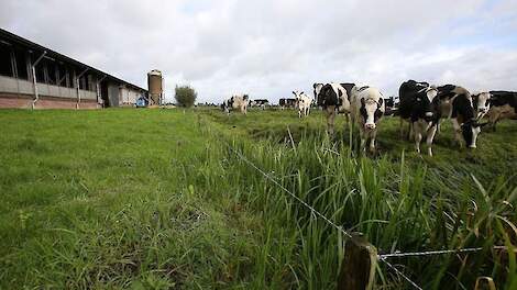 Paul Gosselink, NMV: Brusselse toezeggingen nog lang niet genoeg