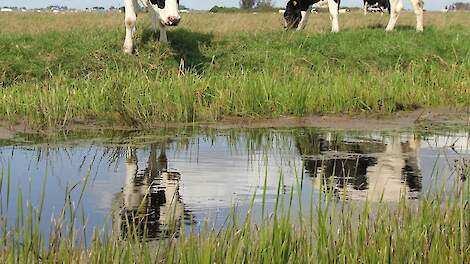 GD: wees alert op leverbotinfecties