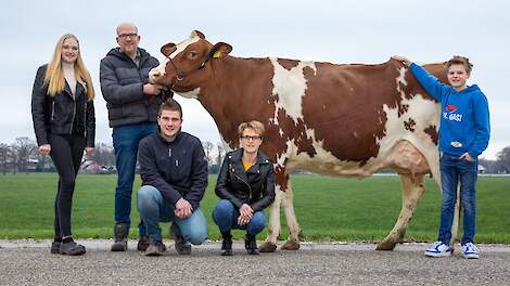 Van Dooren heeft liever een laatrijpe subtopper dan een scherpe showtopper