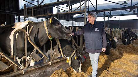 Melkveehoudster op Texel kiest voor manier van ondernemen die bij haar past