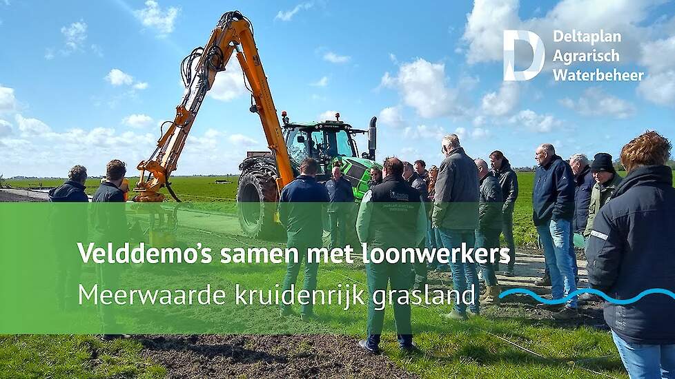 Met de juiste voorbereiding kruidenrijk grasland zaaien