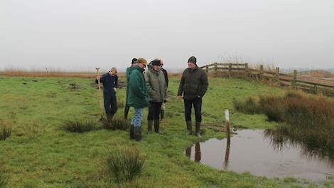 Weiland in Friesland via speciale inlaat onder water gezet om weidevogels te verwelkomen