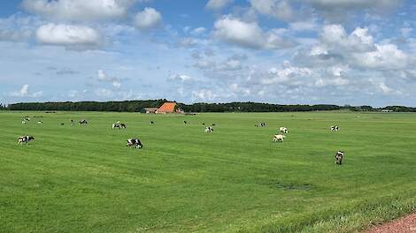 Minder ammoniak door meer gesloten kringloop