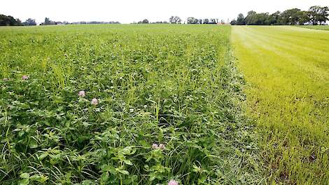 Meer maïs telen met behoud blijvend gras