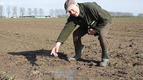 Vondst eerste kievitsei in Beuningen: 'Beschermen extra belangrijk, nog veel werkzaamheden op het land'