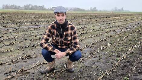 Vinder eerste Friese kievitsei: ‘Dit is mooier dan een weekje Spanje’