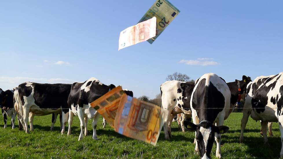 Dutch Dairy Farmers Facing Sharp Decline in Liquidity Margin: Milk Price Pushes Margin to 1.7 Cents per Liter