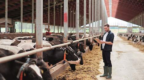 Liquiditeitsmarge in een jaar tijd met ruim 8 euro per 100 kg melk gedaald