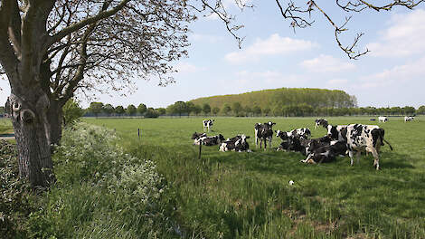 ‘We kunnen boeren niet afrekenen op aannames’