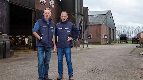 Productie en gehaltes blijven op peil met 150 gram RE bij Jan en Teun Gieben