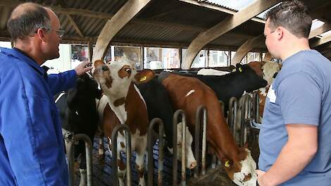 Financiële steun voor jonge startende boeren