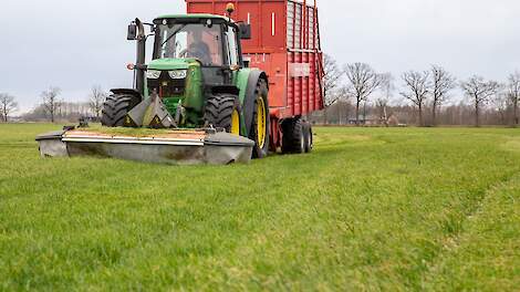 Kabinet wil graslandnorm van 0,35 hectare grasland per GVE vanaf 2032