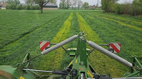 Video: Vers Gras Stand: dit zien we in bemest en onbemest grasland