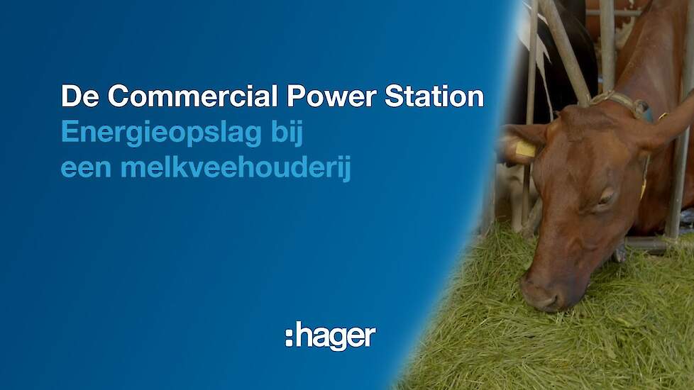 Energieopslag bij een melkveehouderij: zonne-energie gebruiken wanneer de zon niet schijnt.