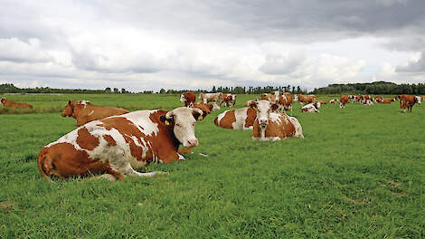 Graslandnorm knelt ook bij biologisch