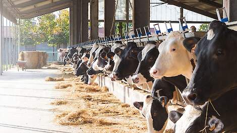 Slimme databundeling biedt kansen voor melkveeadviseurs