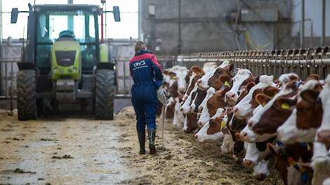 MRIJ past volgens Lugtenberg goed bij een extensief bedrijf