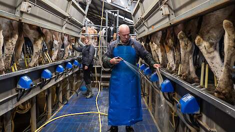 Video: Zwiers sluit tien koeien aan in één minuut