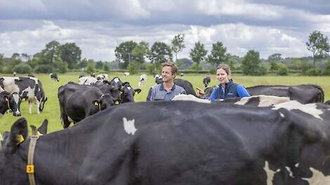 Weer een Streptococcus uberis mastitis, wat te doen?