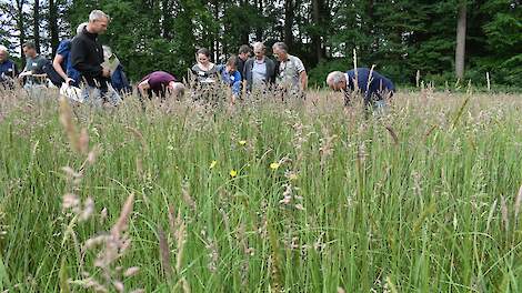 Fotoserie: Goed beheer van kruidenrijke graslanden vraagt om soepele benadering kalenderlandbouw