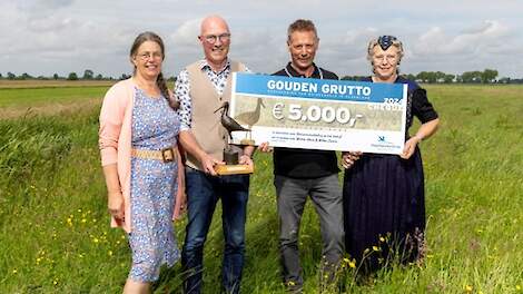 Gouden Grutto voor biologische melkveehouders uit Rouveen: 'We doen het met liefde'